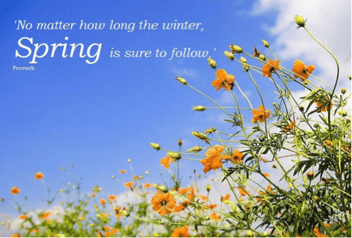Time to Spring | E-Newsletter March 2015